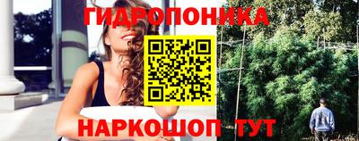 трава Лесосибирск