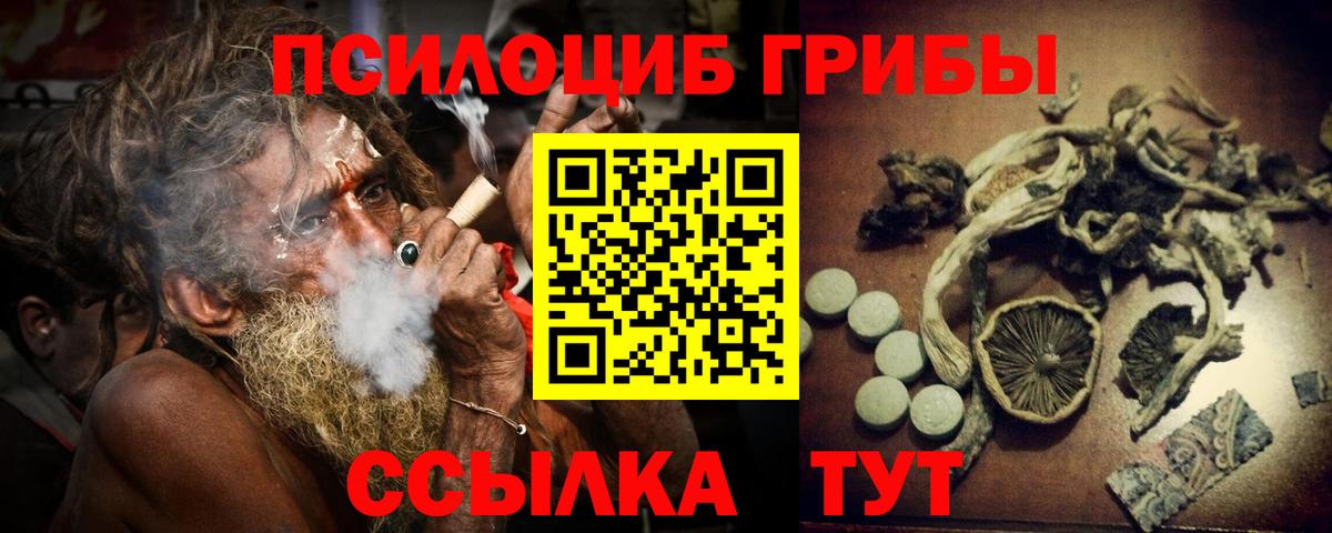 Галлюциногенные грибы Magic Shrooms Камень-на-Оби
