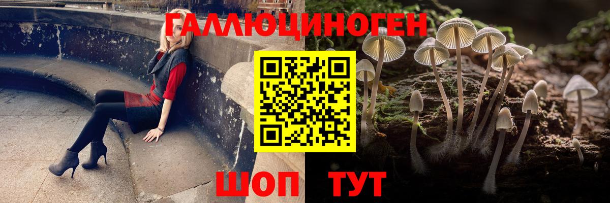 Камень-на-Оби  Псилоцибиновые грибы прущие грибы  Галлюциногенные грибы Magic Shrooms  Вход с VPN 