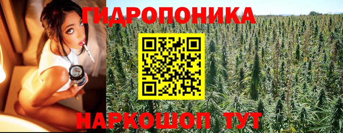 Бошки Шишки Amnesia Камень-на-Оби